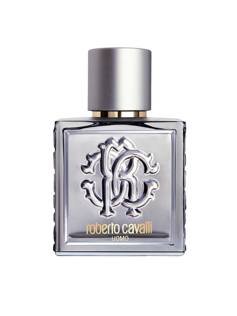 Roberto Cavalli Men Uomo Silver Essence EDT